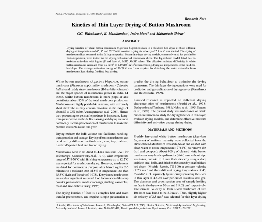 Folio Nine From Burchard Of Sion's De Locis Ac Mirabilibus, HD Png Download