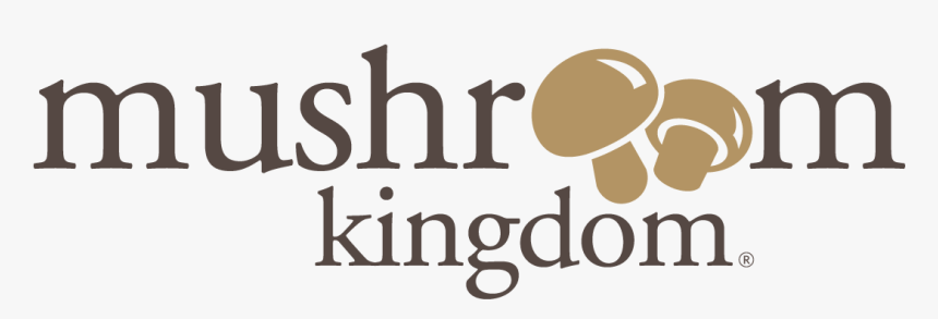 Kill A Mockingbird Book Cover, HD Png Download