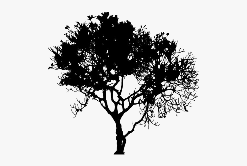 Tropical Trees Png Transparent Images - Silhouette, Png Download