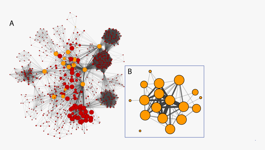 Cytoscape Network Analysis, HD Png Download