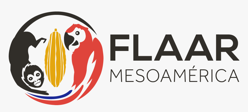 Carbon Robotics Logo, HD Png Download