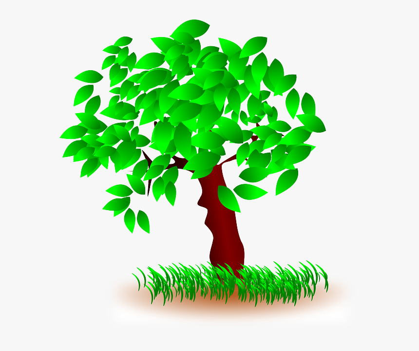 Tree, Leaves, Grass, Nature, Wood, Green - Tree With Leaves Clipart, HD Png Download