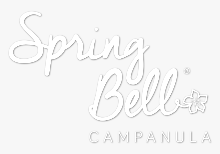 Spring Bell Campanula Logo - Calligraphy, HD Png Download