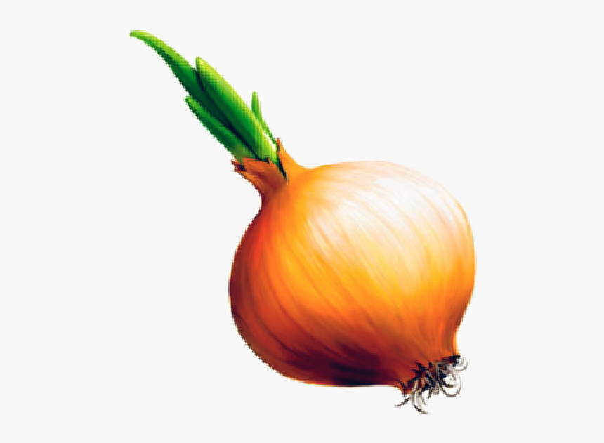 Onion Png Free Download - Onion Clipart Transparent, Png Download