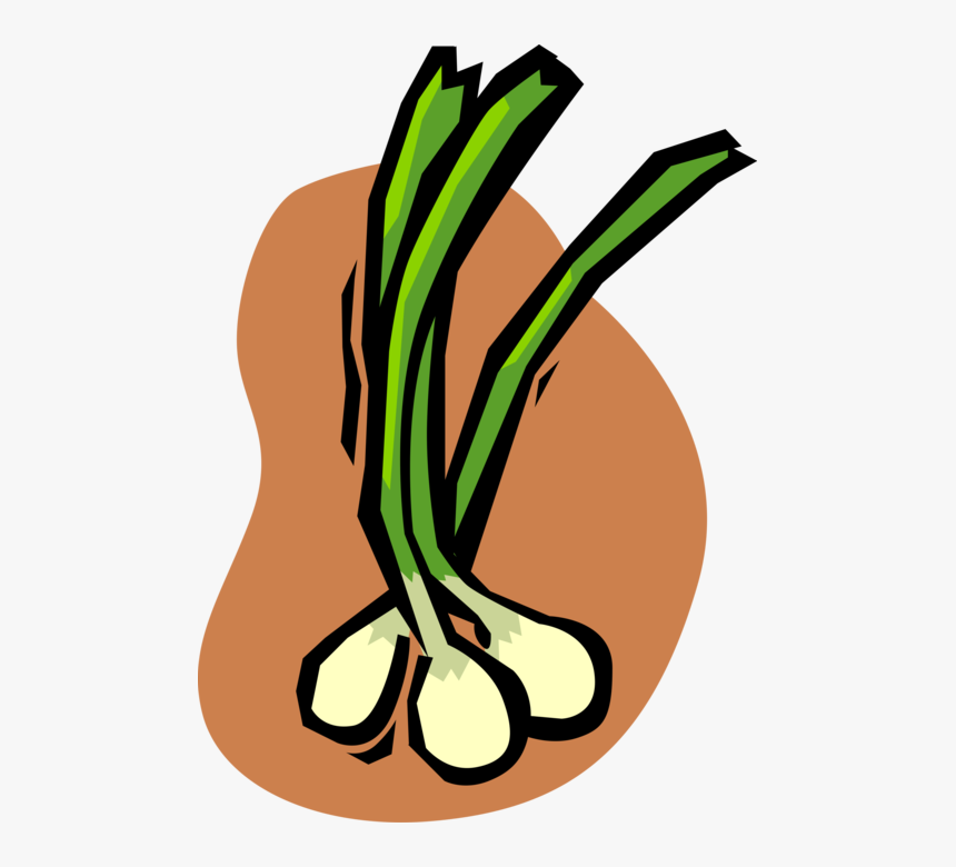 Vector Illustration Of Green Scallion Onion Vegetable Green Onions Clipart Png, Transparent