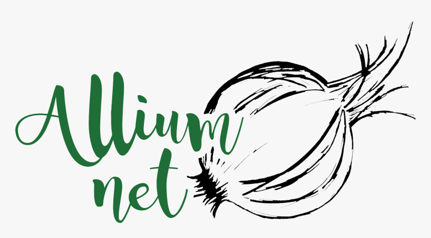 Alliumnet - Red Onion, HD Png Download