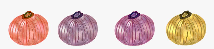 Onion Vegetable Market Free Photo - Red Onion, HD Png Download
