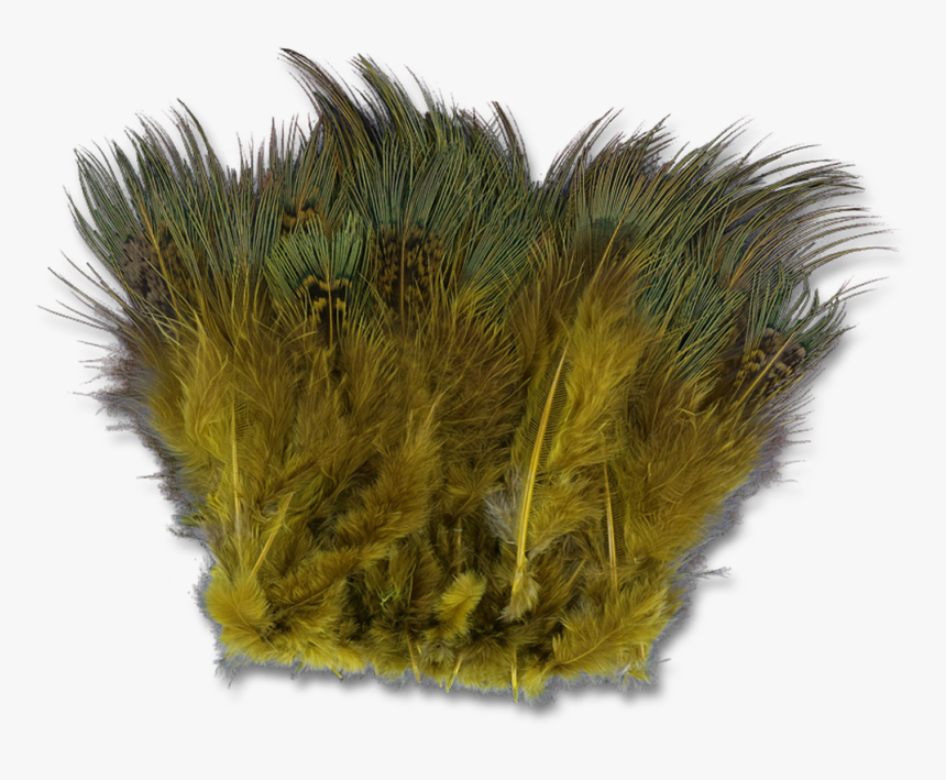 Strung Ringneck Pheasant Rump - Grass, HD Png Download