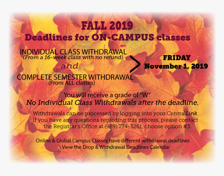 Fall Leaves, HD Png Download