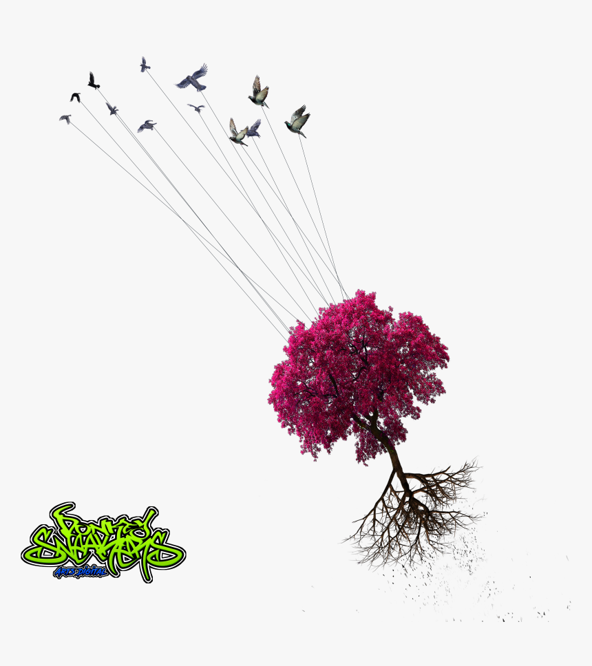 Birds Taking Tree Png Donkeysneakers - Nurhayat Şuara Sözleri, Transparent Png