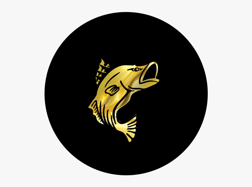 Circle, HD Png Download