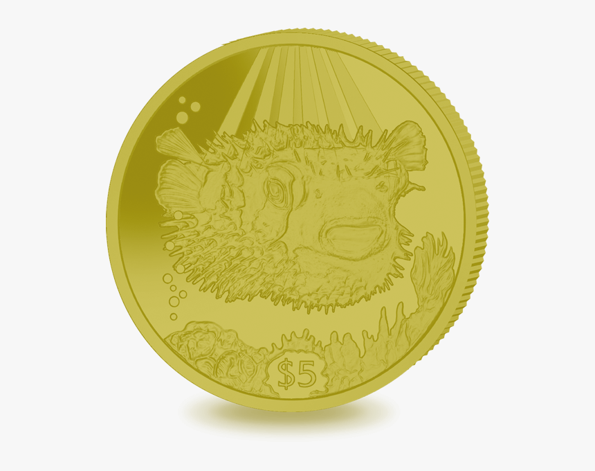 Coin, HD Png Download