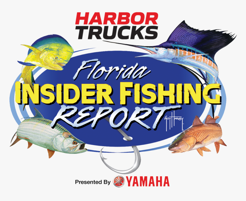 Picture - Fishing, HD Png Download
