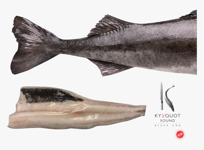 Sablefish, HD Png Download