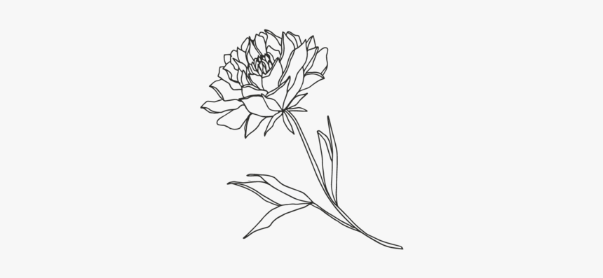 Flower3-01, HD Png Download