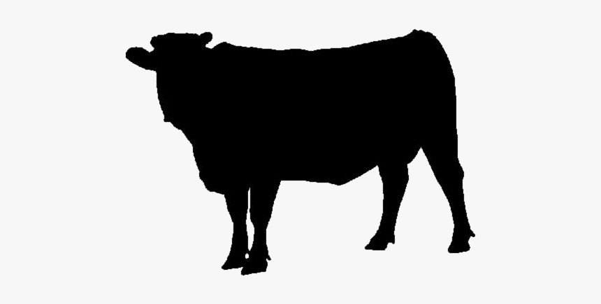 Cow Animal Png Hd Transparent Wallpaper - Animal, Png Download