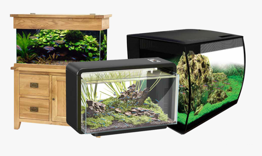 Aquarium, HD Png Download