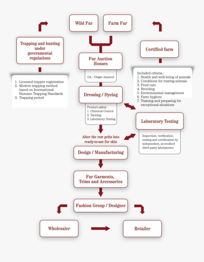 Display Device, HD Png Download