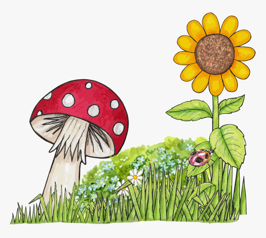 Nature Nature Images Image Hd Photos Clipart - Mushroom And Sunflower, HD Png Download