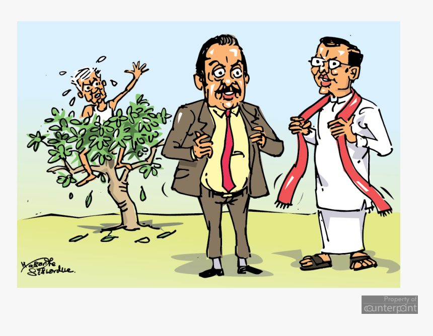 Cartoon, HD Png Download