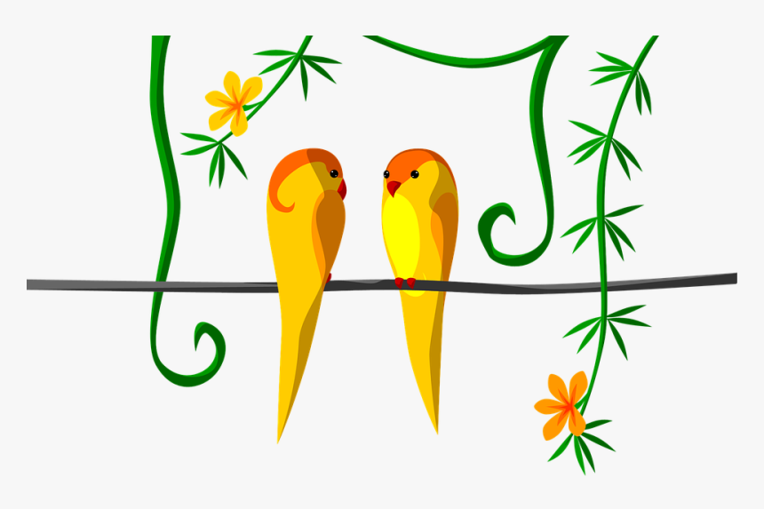 Parrot, Couple, Jungle, Tropical, Orange, Bright - Budgie, HD Png Download