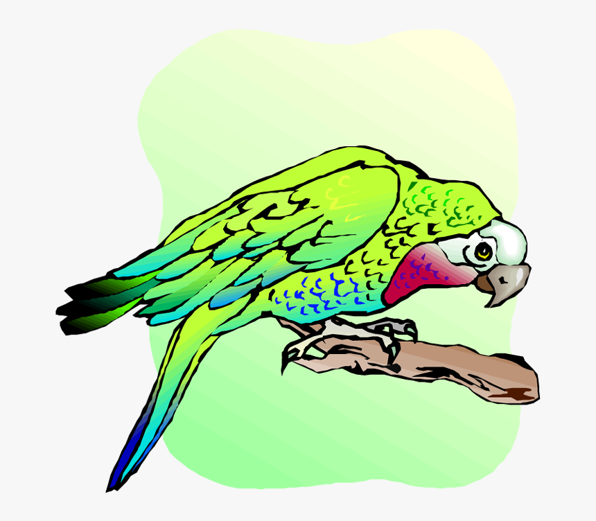 Free Parrot And Macaw Clipart - Budgie, HD Png Download