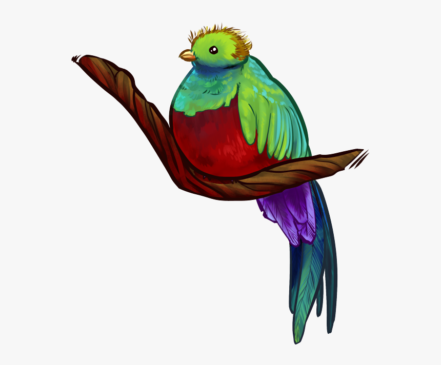 Parrot, HD Png Download