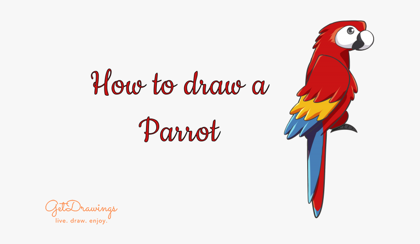 How To Draw A Parrot - Macaw, HD Png Download