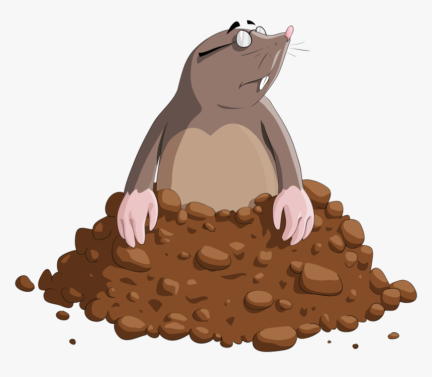 Cartoon Clipart Image Gallery - Mole Clipart Png, Transparent Png