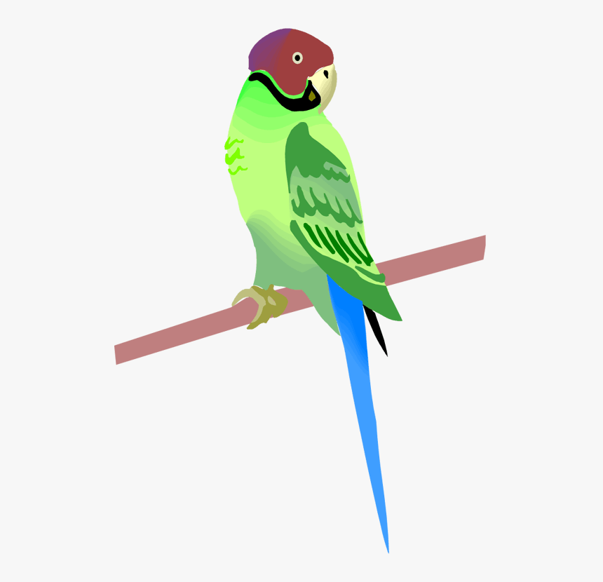 Free Parrot And Macaw Clipart - Clip Art, HD Png Download