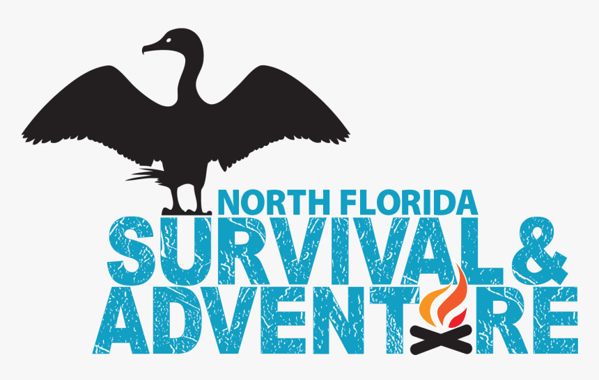 About Us North Florida - Water Bird, HD Png Download