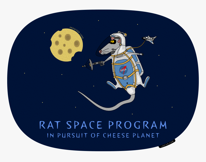 Cheese Vector Png, Transparent Png