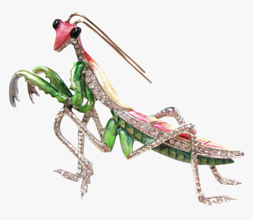 Marcel Boucher Praying Mantis, HD Png Download