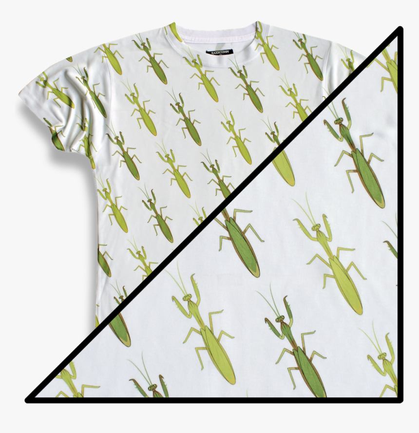 Insect, HD Png Download