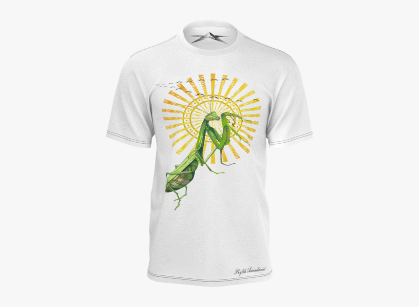 Dragonfly, HD Png Download