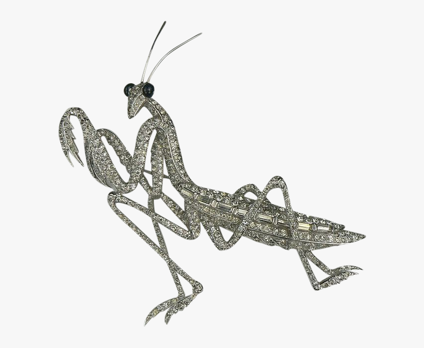 Mantidae, HD Png Download