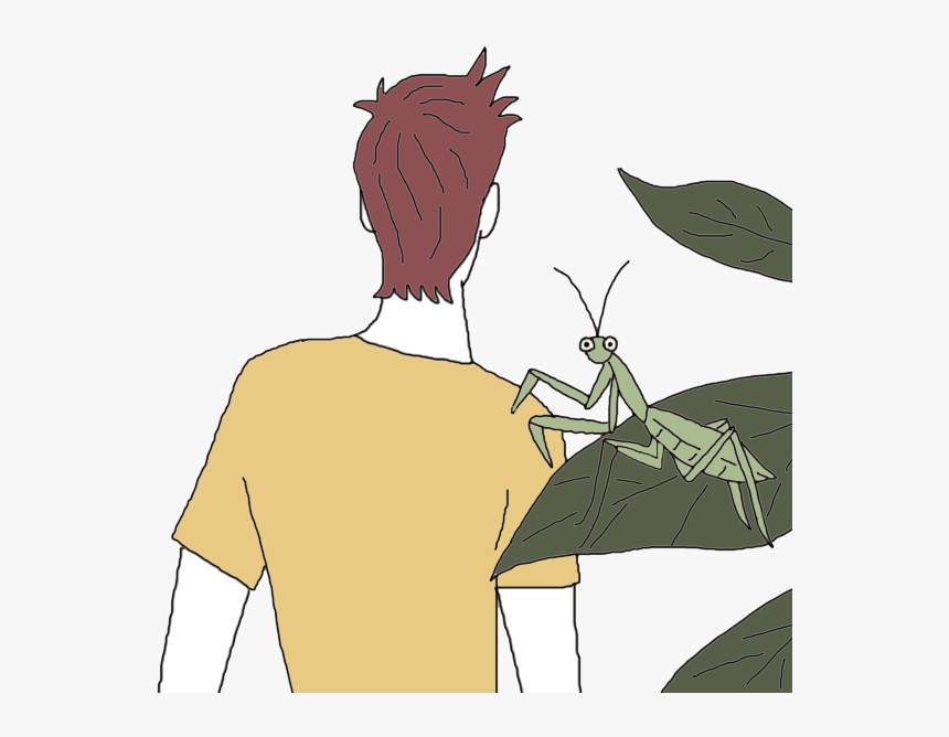 Mantis - Cartoon, HD Png Download
