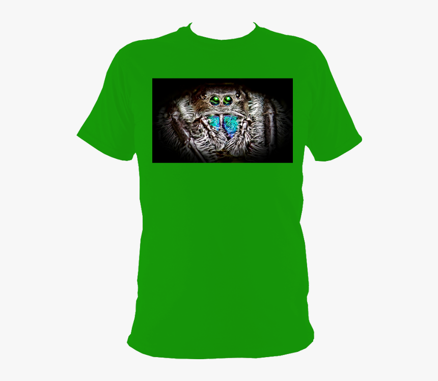 Phidippus Regius T Shirt, HD Png Download