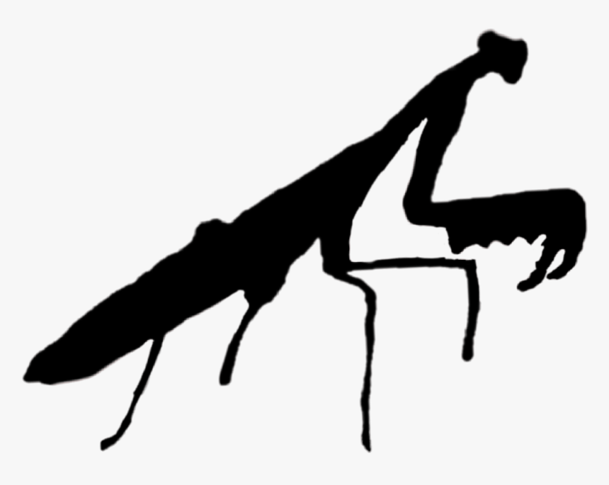 #prayingmantis #black #insect #silhouette #kungfu - Silhouette, HD Png Download