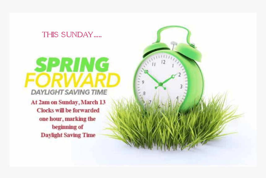 Grass, HD Png Download