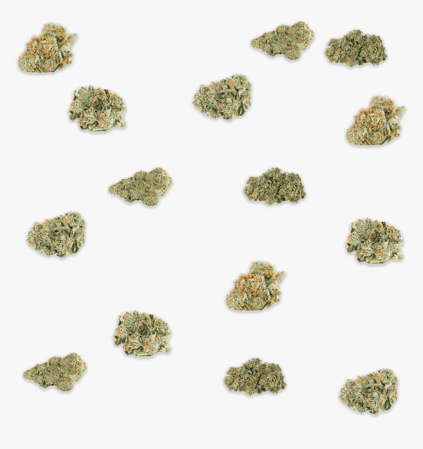 Mixture, HD Png Download