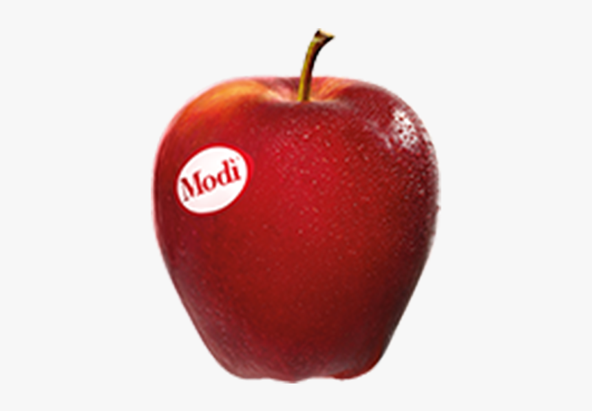 Mela Modì, HD Png Download