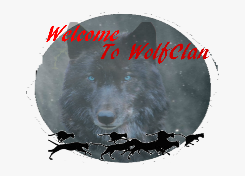 Animal Groups Roleplay Wiki - Dog, HD Png Download