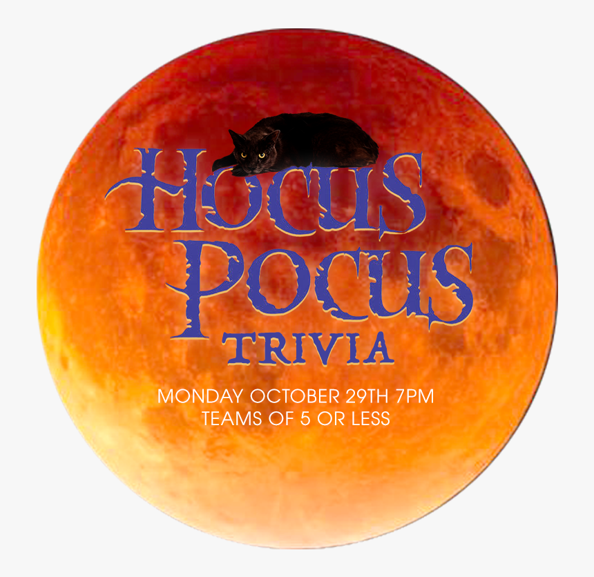 Cougar, HD Png Download