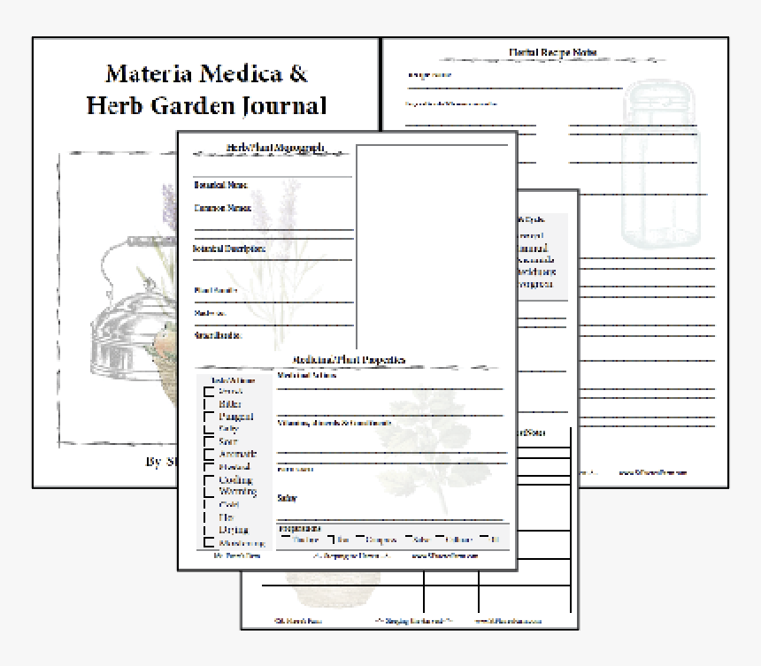Record All These Wonderful Bachelor Button Facts On - Journal Pages Printable Herbs, HD Png Download
