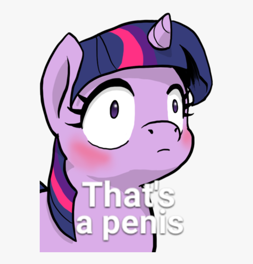 Twilight Sparkle Rarity Pinkie Pie Pony Pink Facial - My Little Pony Lewd Meme, HD Png Download
