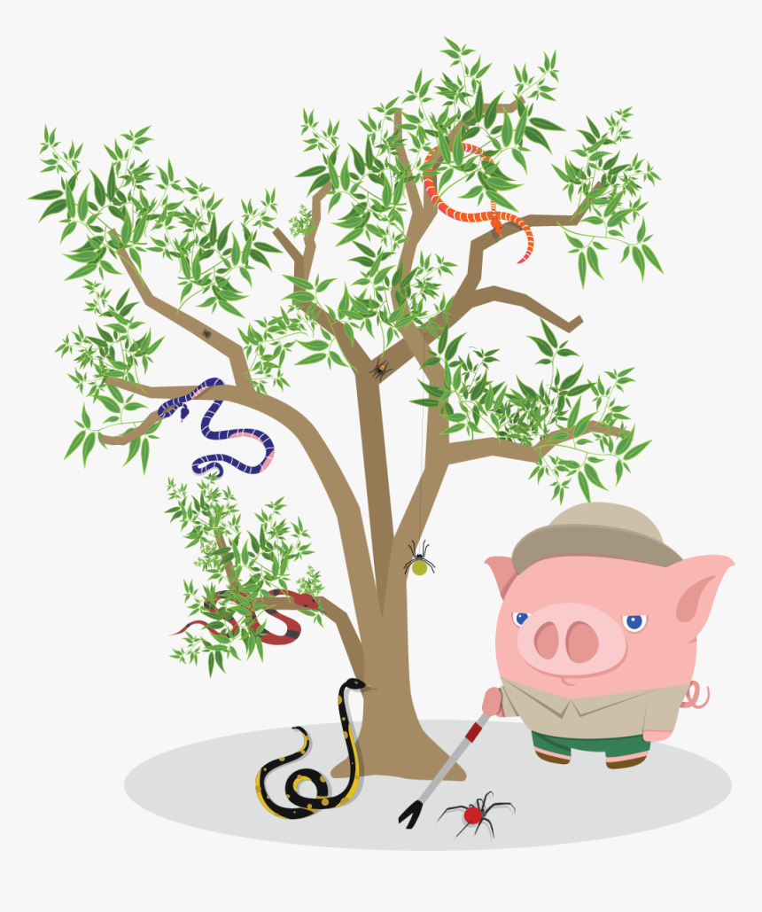 Best Forex Broker Australia - Cartoon, HD Png Download