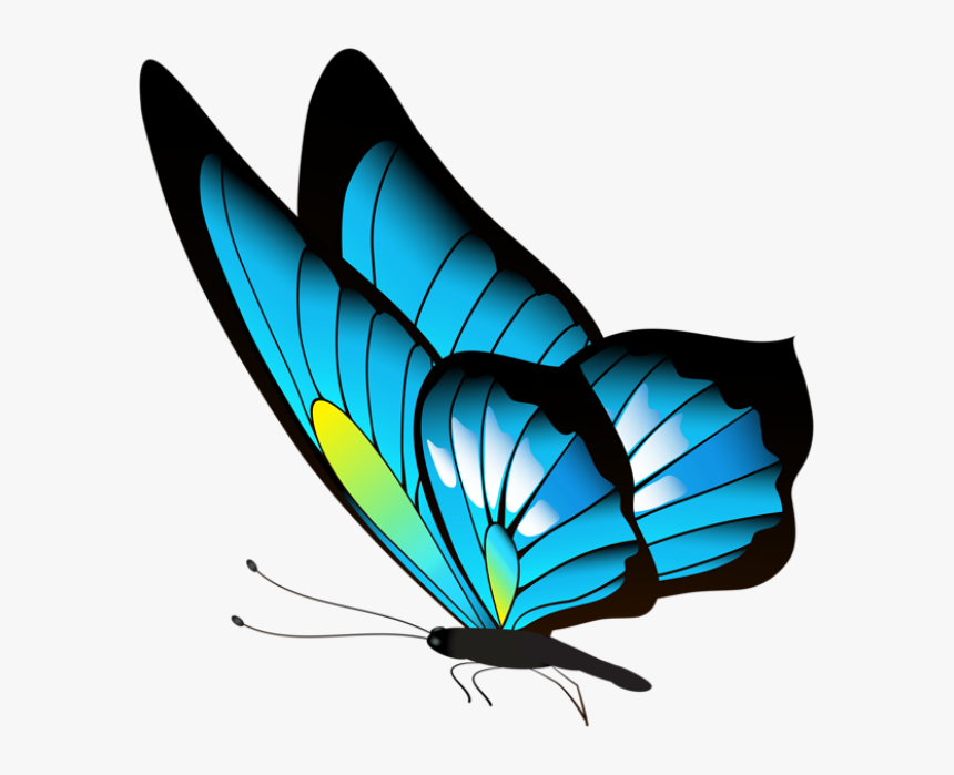 Borboleta Azul E Preta - Cute Bird Drawing Easy, HD Png Download