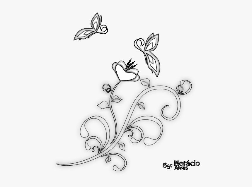 Borboletas Black White Line Art 555px - Line Art, HD Png Download