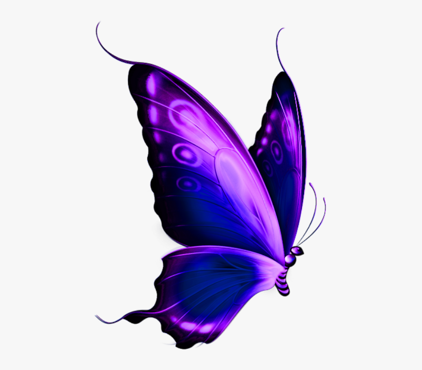 Borboleta Roxa E Preta 5 - Transparent Background Butterfly Png, Png Download